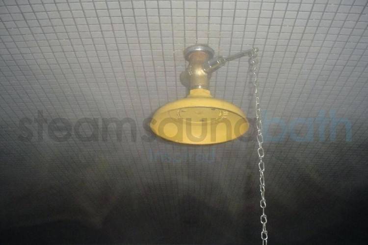 outdoor shower head antique brass elevating outdoor shower head and faucet outdoor  shower head with pull
