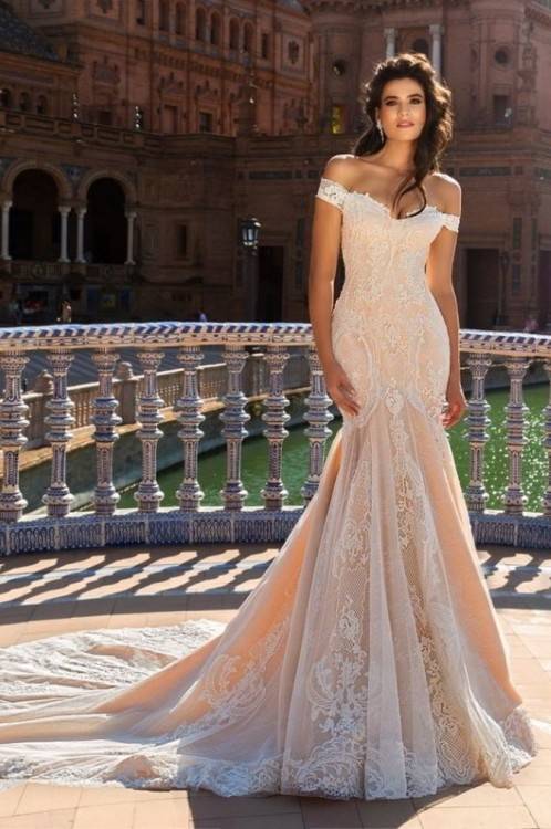 Sexy Lace Mermaid Wedding Dresses 2017 Spaghetti With Crystal Sleeveless  Champagne Court Train Bridal Gowns Collection By Kitty Chen BA1666 Canada  2019 From
