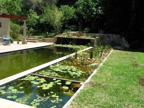 We design custom swimming pools for clients integrating the total landscape  as one unified space