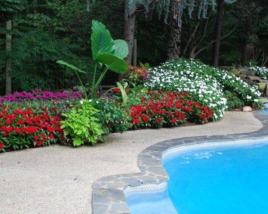 tropical pool garden design