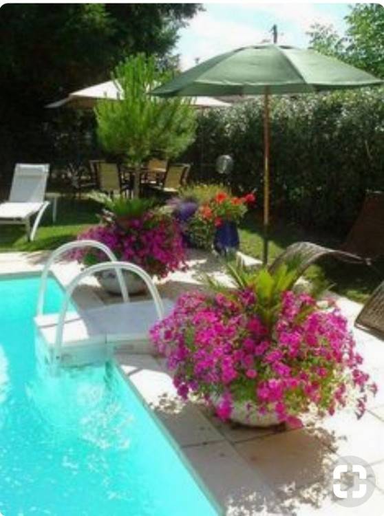 fresh cheap pool landscaping ideas for landscaping ideas for pool areas  pool area landscape design ideas