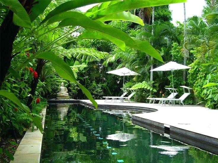 small tropical gardens