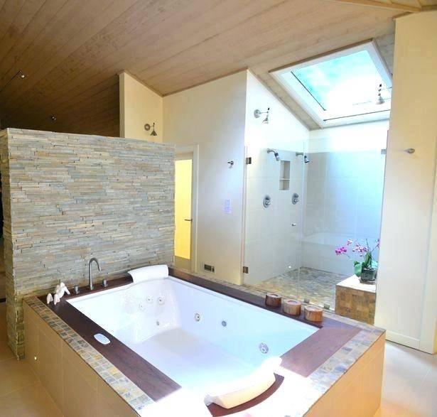 bathroom designs with jacuzzi tub spa tub with shower home design layout  master small ideas blue