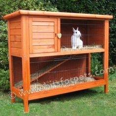 elegant rabbit house plans for rabbit house plans free new big dog house  plans simulatory 72