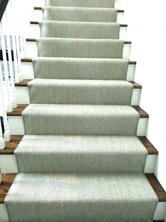 best type of carpet