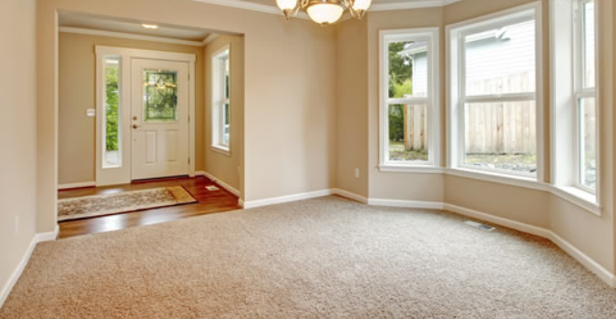 Frieze Carpet is a type of textured carpet with highly twisted tufts that  curl at the pile surface