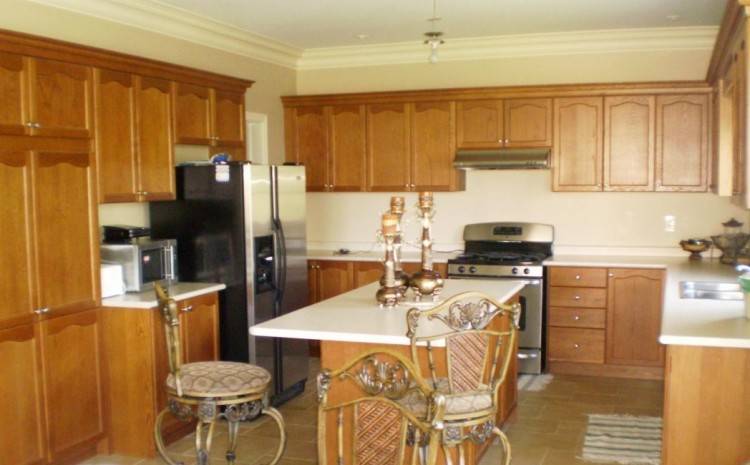yellow kitchen walls with maple cabinets nifty paint colors for kitchens  with light maple cabinets on