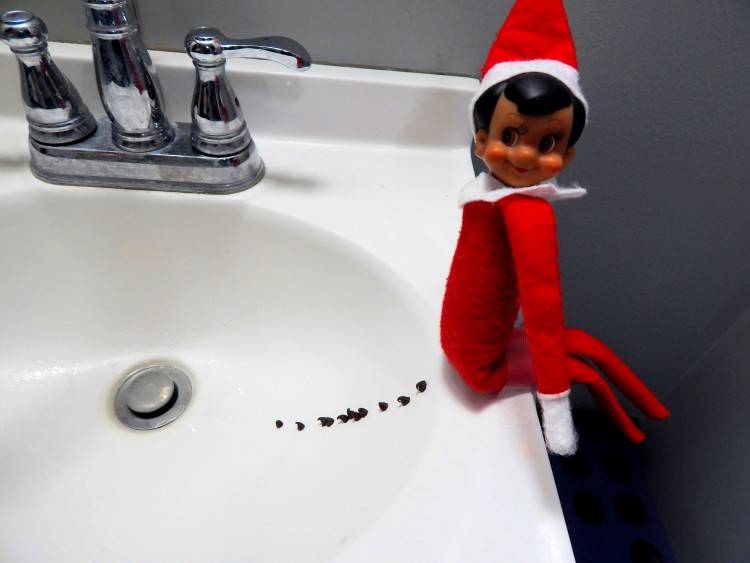 Elf on the Shelf easy ideas, What to do with your Elf, Silly Ideas